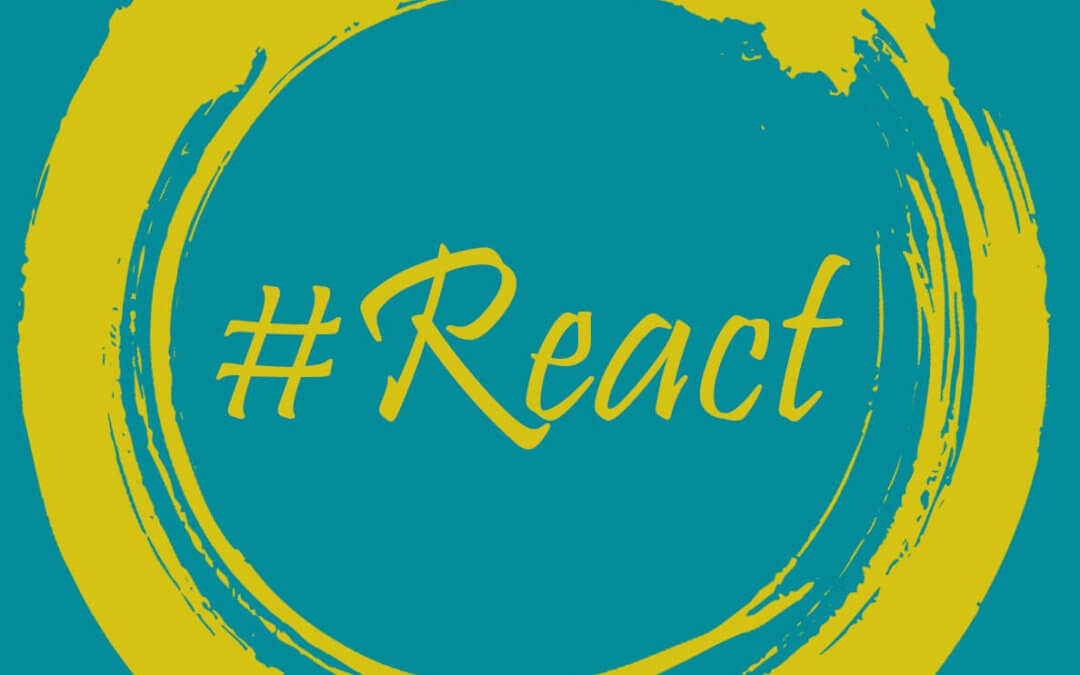 #REACT : animations au Collège Notre-Dame – site Bellevue