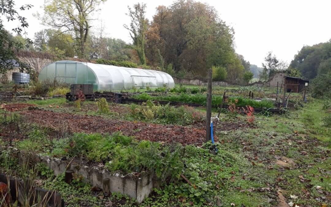 Le 14 octobre 2020 : une visite au Potager d’à côté